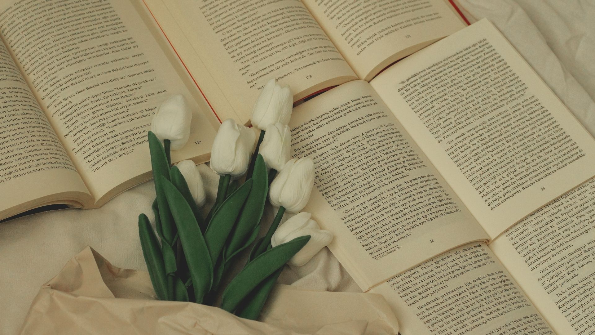 Design de Capa e Diagramação